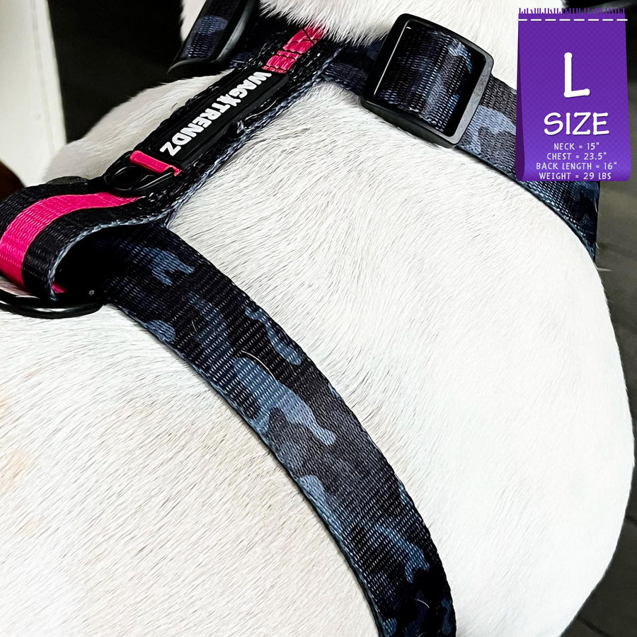 H Dog Harness - Roman Dog Harness - French Bulldog wearing large black and gray camo harness with bold hot pink accents and matching dog leash - standing indoors - close side view - Wag Trendz