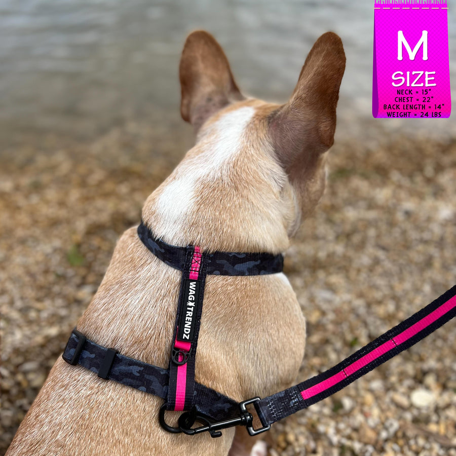 H Dog Harness - Roman Dog Harness - French Bulldog wearing medium black and gray camo harness with bold hot pink accents and matching dog leash - sitting outdoors looking at the lake water - back view - Wag Trendz