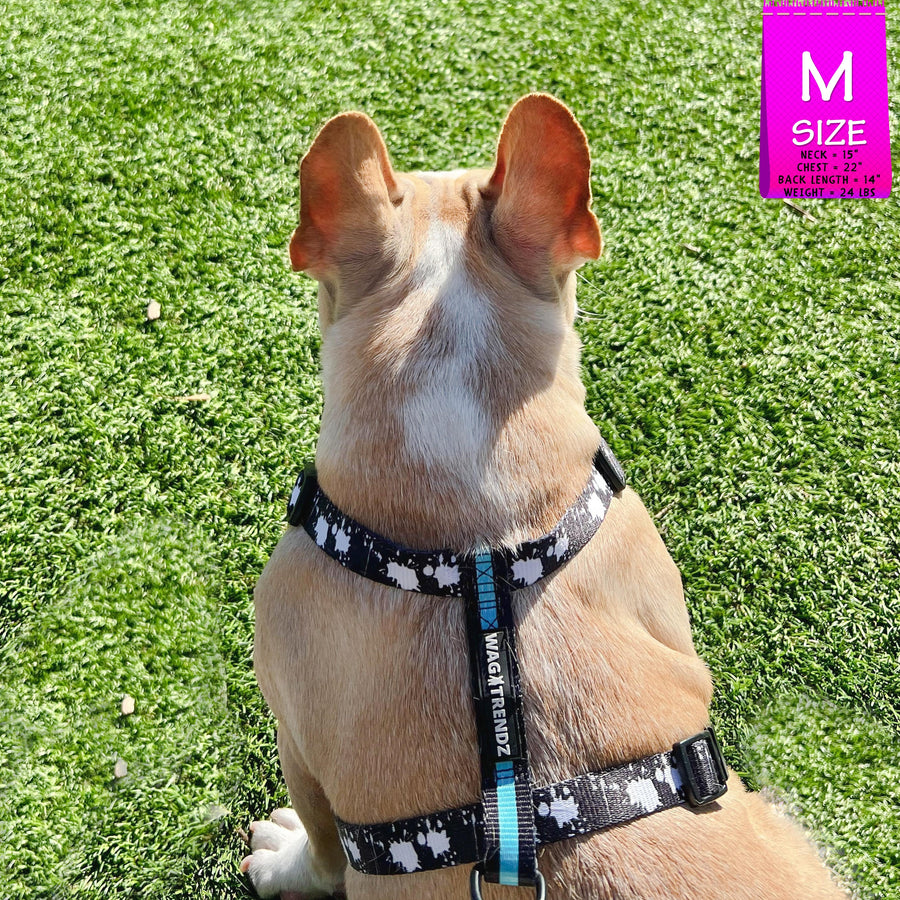 H Dog Harness - Roman Dog Harness - French Bulldog wearing small black with white paint splatter harness and teal accents - back view - sitting outdoors in the grass - Wag Trendz