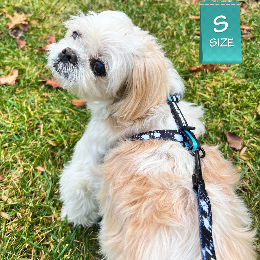 H Dog Harness - Roman Dog Harness - Shih Tzu wearing small black with white paint splatter harness and teal accents - back view - sitting outdoors in the grass - Wag Trendz