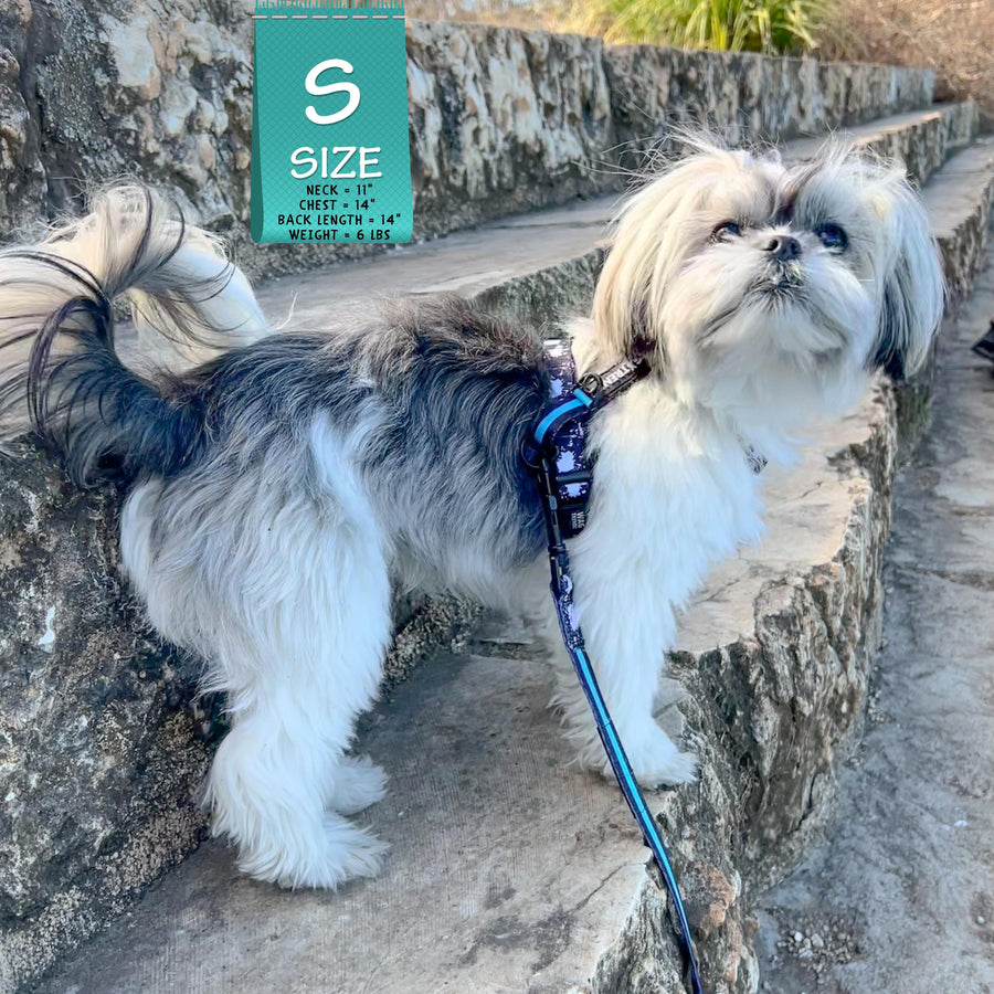 H Dog Harness - Roman Dog Harness - Shih Tzu wearing small black with white paint splatter harness and teal accents - back view - standing outdoors on rock steps - Wag Trendz