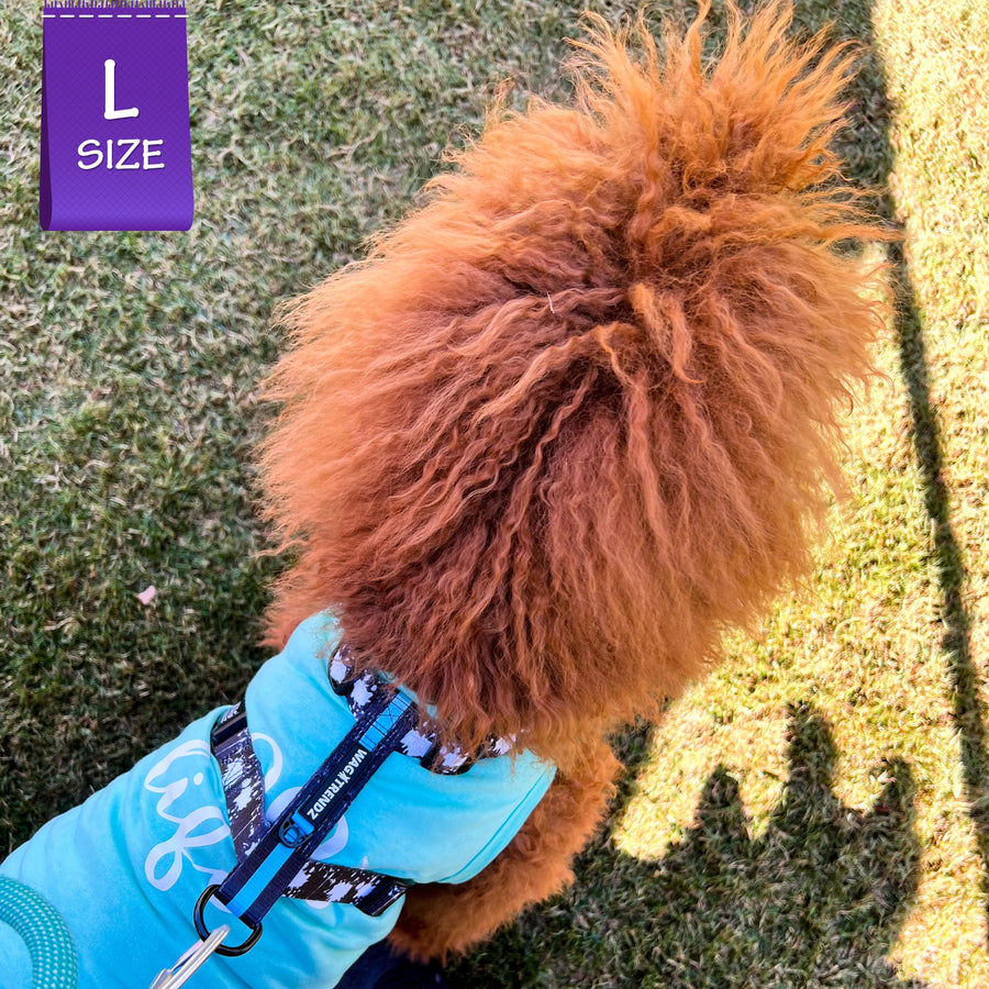 H Dog Harness - Roman Dog Harness - Standard Poodle wearing large black with white paint splatter harness and teal accents over top of a Good Life teal tank top - back view - standing outdoors in the grass - Wag Trendz