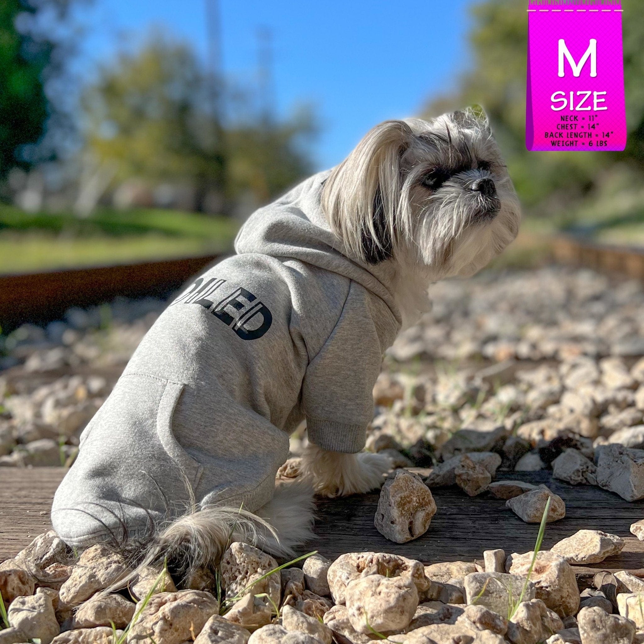 Hooded Sweatshirt For Dogs - SPOILED | Wag Trendz®