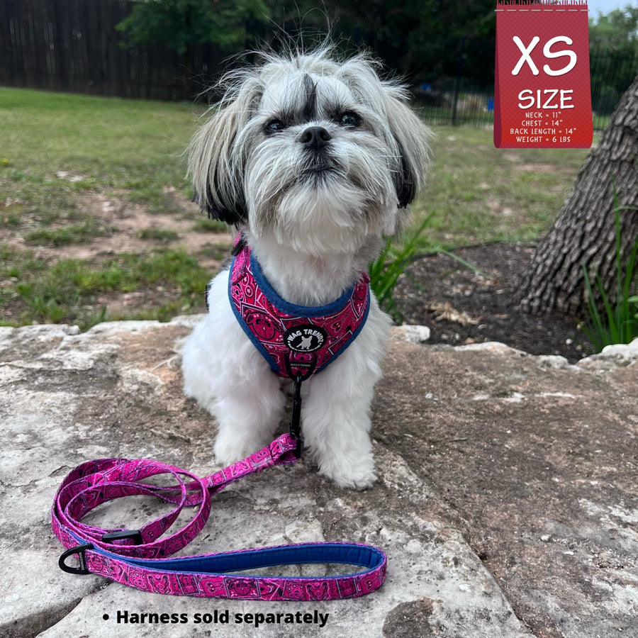 Adjustable Dog Leash - Shih Tzu mix wearing Bandana Boujee with Denim Accents in Hot Pink dog harness with adjustable leash attached - sitting on a rock outdoors facing camera - Wag Trendz