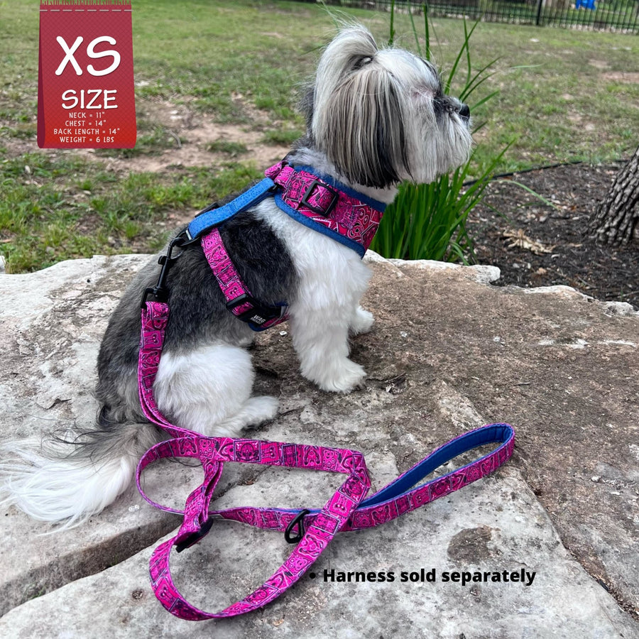 Adjustable Dog Leash - Shih Tzu mix wearing Bandana Boujee with Denim Accents in Hot Pink dog harness with adjustable leash attached - sitting on a rock outdoors - side view - Wag Trendz