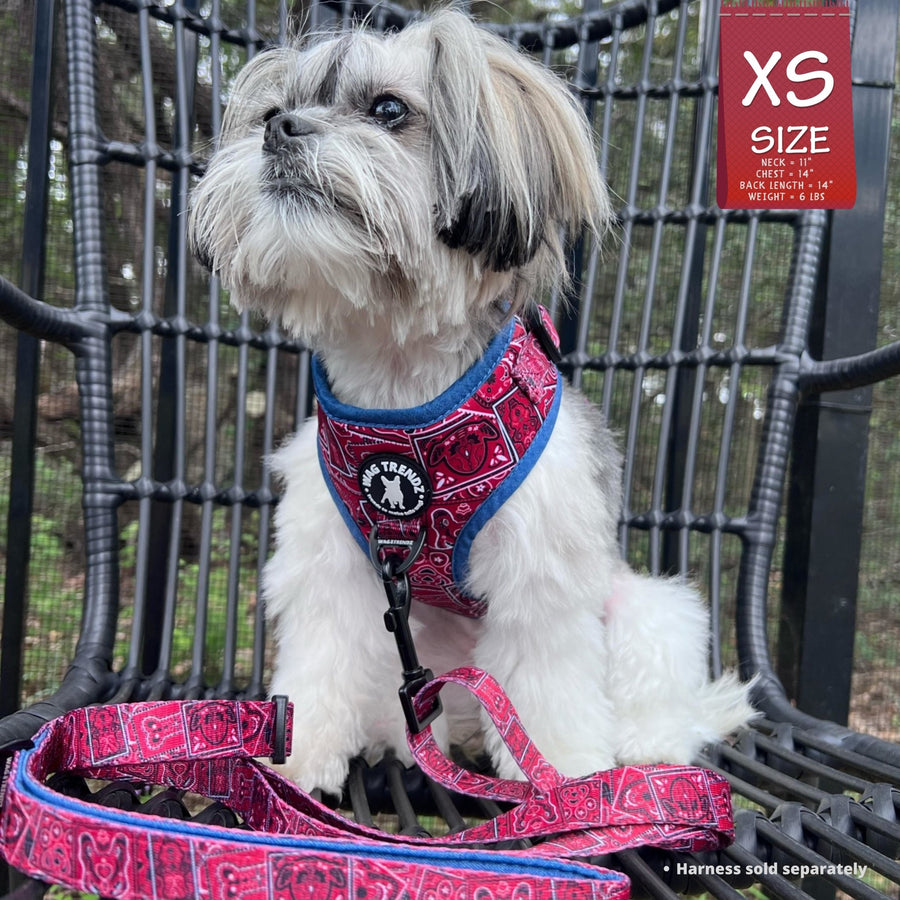 Adjustable Dog Leash - Shih Tzu mix wearing Red Bandana Boujee Harness Vest with matching Leash attached and Denim Accents - sitting outdoors in a black chair - Wag Trendz
