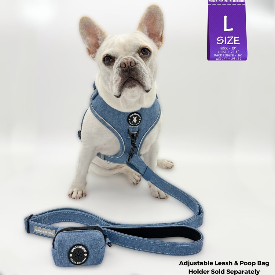 Denim Dog Harness - Reflective and No Pull - French Bulldog wearing a large Downtown Denim Dog Harness with reflective accents and matching leash and poop bag holder attached - against solid white background - Wag Trendz