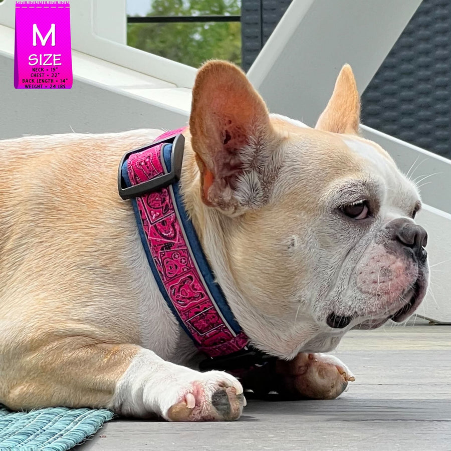 Dog Collar and Leash Set - French Bulldog wearing Bandana Boujee Hot Pink Reflective Dog Collar - outdoors laying on a gray deck with white chair in background - Wag Trendz