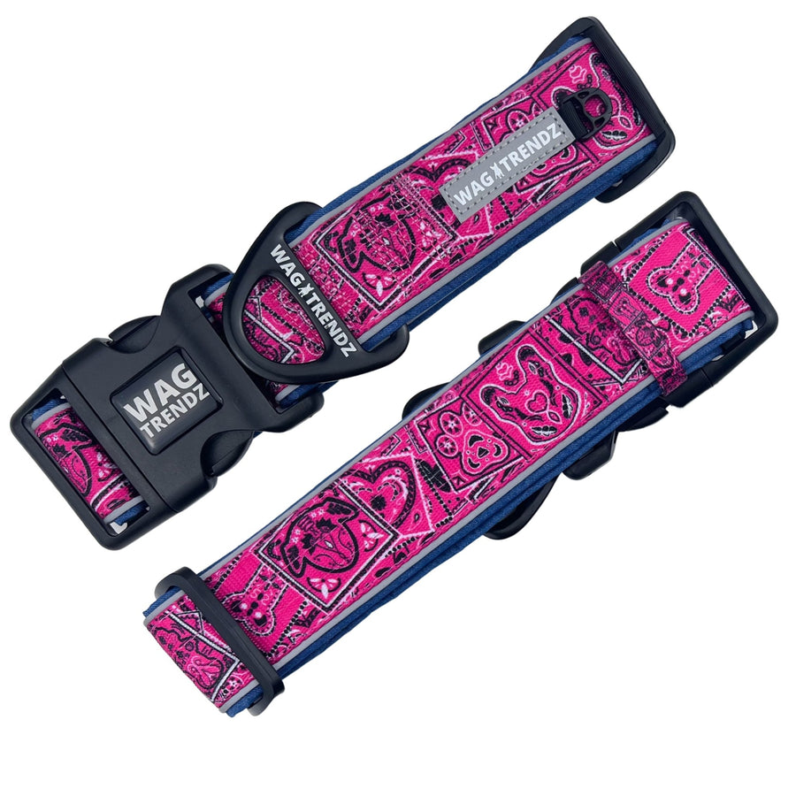 Dog Collar and Leash Set - Bandana Boujee Hot Pink Reflective Dog Collar - front and back side - against solid white background - Wag Trendz