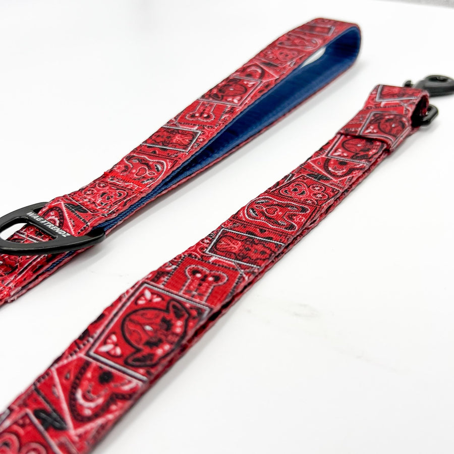 Dog Collar and Leash Set - Bandana Boujee Red Adjustable Dog Leash - against solid white background - Wag Trendz