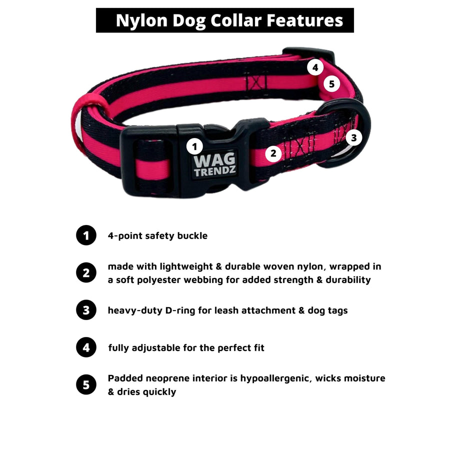 Dog Collar and Leash Set - Dog Collar in solid black with bold hot pink stripe - with product feature captions - against solid white background - Wag Trendz