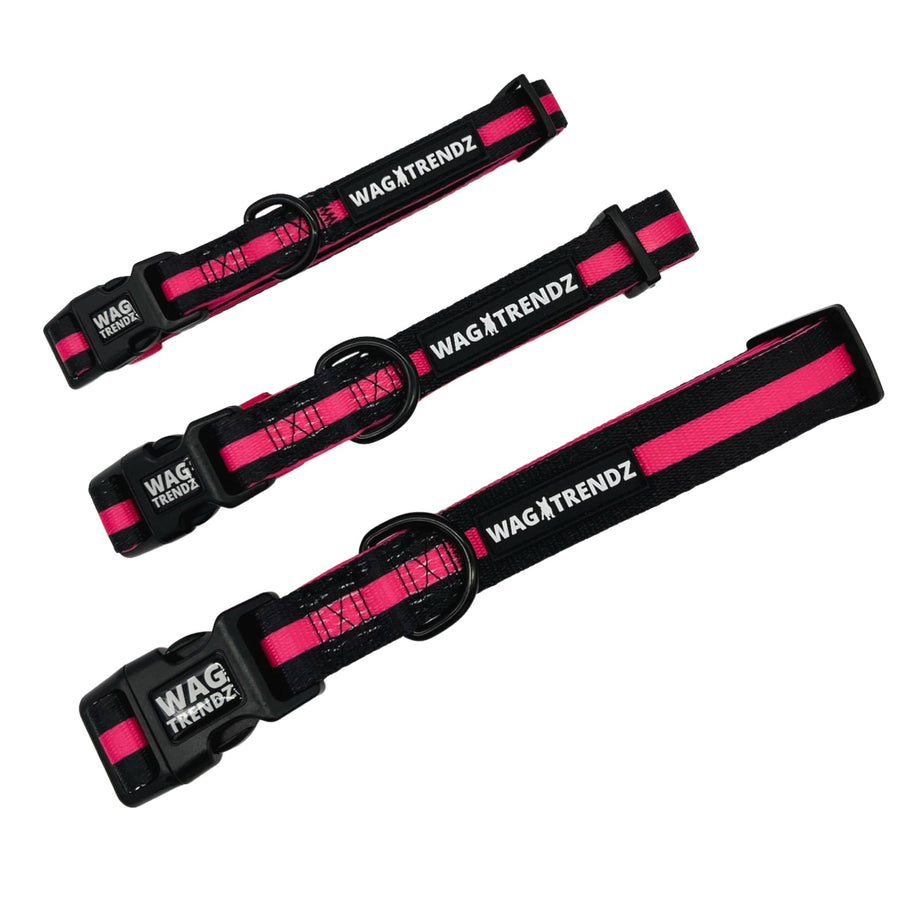 Dog Collar and Leash Set - Small Medium and Large Dog Collars in solid black with bold hot pink stripe - against solid white background - Wag Trendz