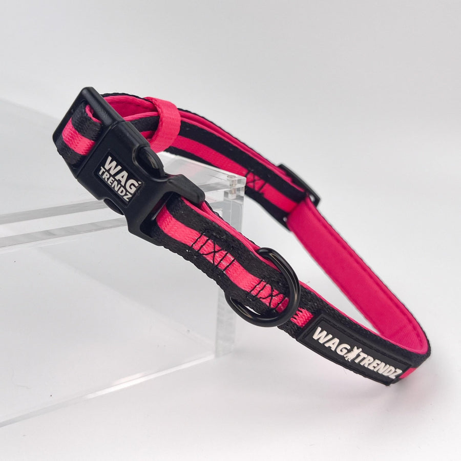 Dog Collar and Leash Set - Dog Collar in solid black with bold hot pink stripe - against solid white background - Wag Trendz