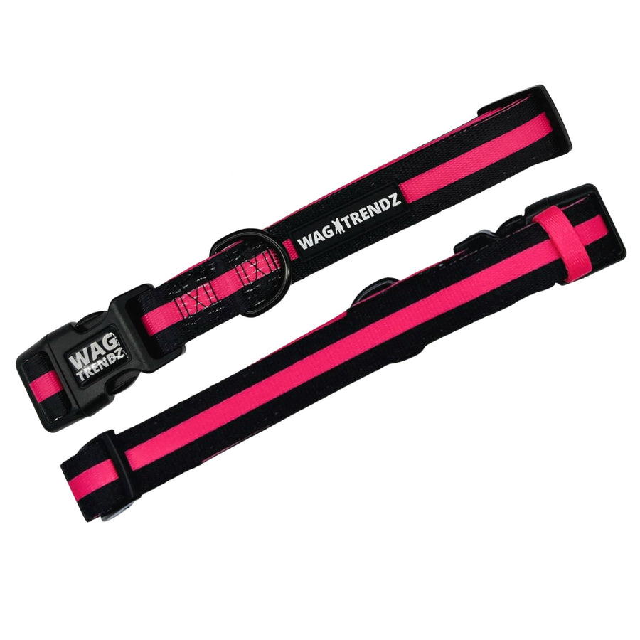 Dog Collar and Leash Set - Dog Collars in solid black with bold hot pink stripe - front and back - against solid white background - Wag Trendz