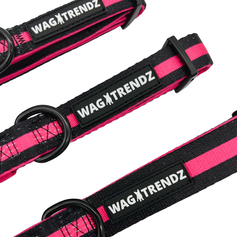 Dog Collar and Leash Set - Small Medium and Large Dog Collars in solid black with bold hot pink stripe - against solid white background - Wag Trendz