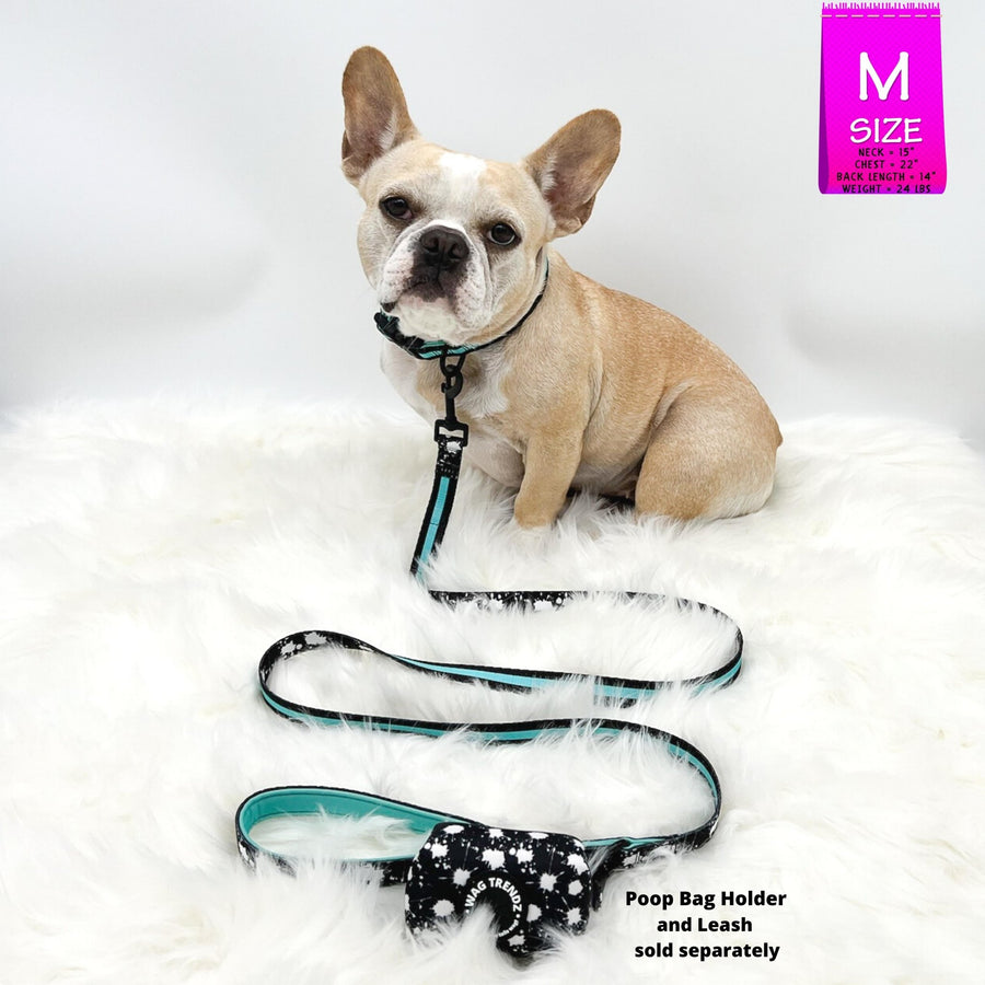 Dog Collar and Leash Set - French Bulldog wearing Medium Dog Collar and Leash in black with white paint splatter and bold teal stripe with matching Poop Bag Holder - against solid white background - Wag Trendz