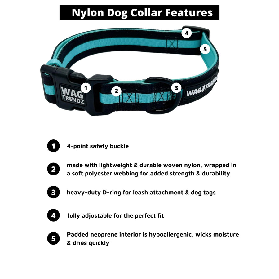 Dog Collar and Leash Set - Dog Collar in solid black with bold teal stripe - with product feature captions - against solid white background - Wag Trendz