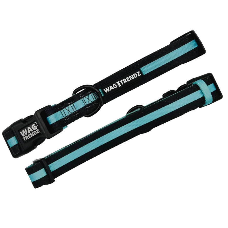 Dog Collar and Leash Set - Dog Collars in solid black with bold teal stripe - front and back - against solid white background - Wag Trendz
