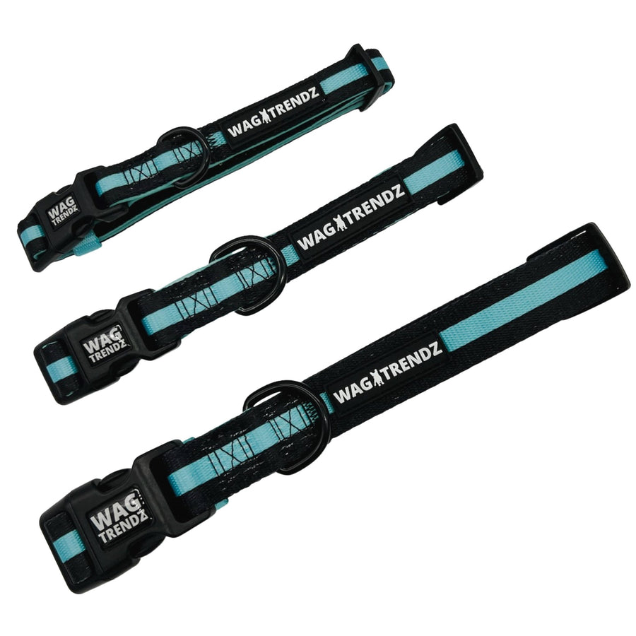 Dog Collar and Leash Set - Small Medium and Large Dog Collars in solid black with bold teal stripe - against solid white background - Wag Trendz