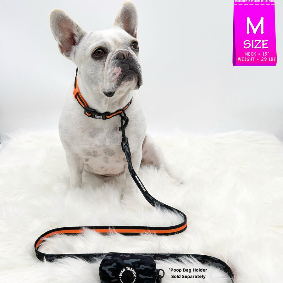Dog Collar Harness and Leash Set - Frenchie Bulldog wearing Medium Dog Collar in black & gray camo with bold orange accents and matching Dog Leash and Poop Bag Holder attached - against solid white background - Wag Trendz