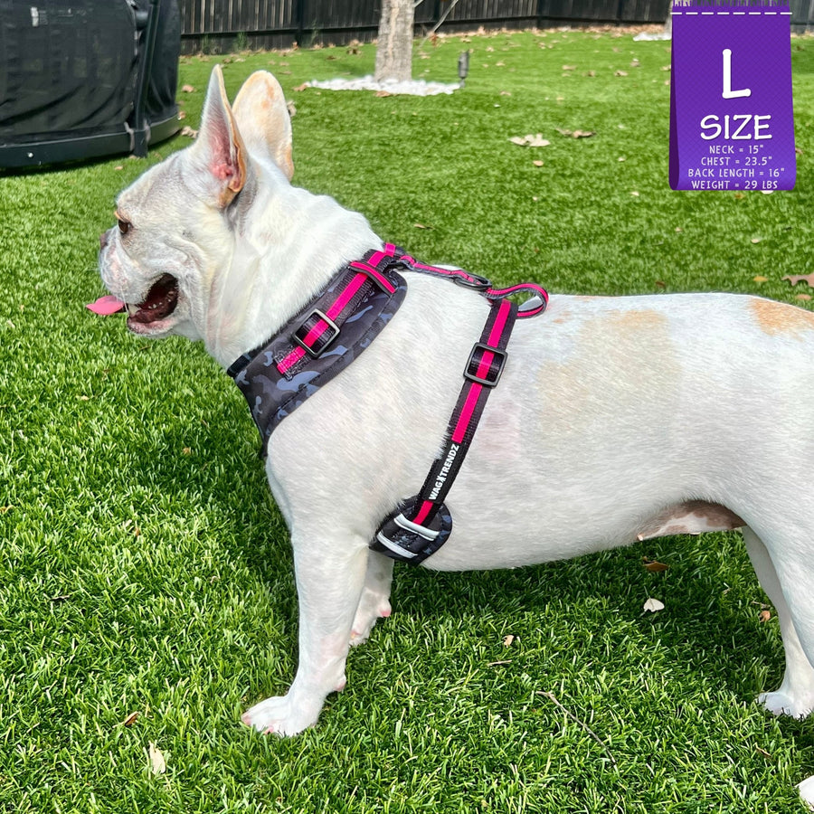 Dog Collar Harness and Leash Set - Frenchie wearing L Dog Adjustable Harness in black & gray camo with hot pink accents - standing outdoors in the green grass - Wag Trendz