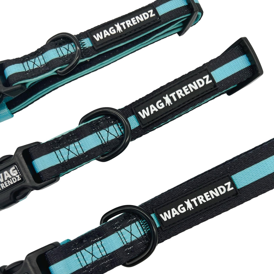 Dog Collar Harness and Leash Set - Small Medium and Large Dog Collars in solid black with bold teal stripe - against solid white background - Wag Trendz