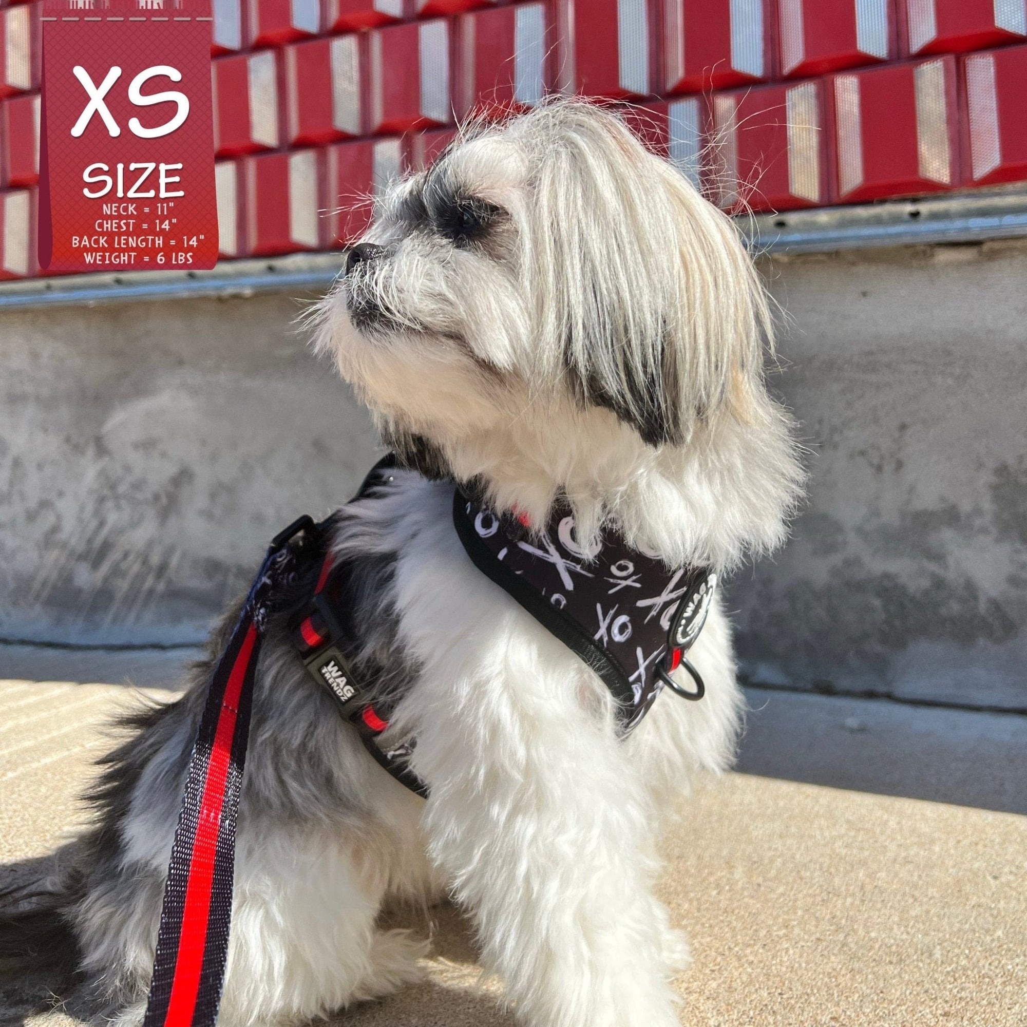 Dog Collar Harness and Leash Set XO's Wag Trendz®