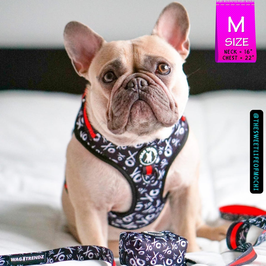 Dog Collar Harness and Leash Set - French Bulldog wearing Dog Adjustable Harness in black and white XO's with bold red accents - with matching leash and poop bag holder attached - sitting indoors - Wag Trendz