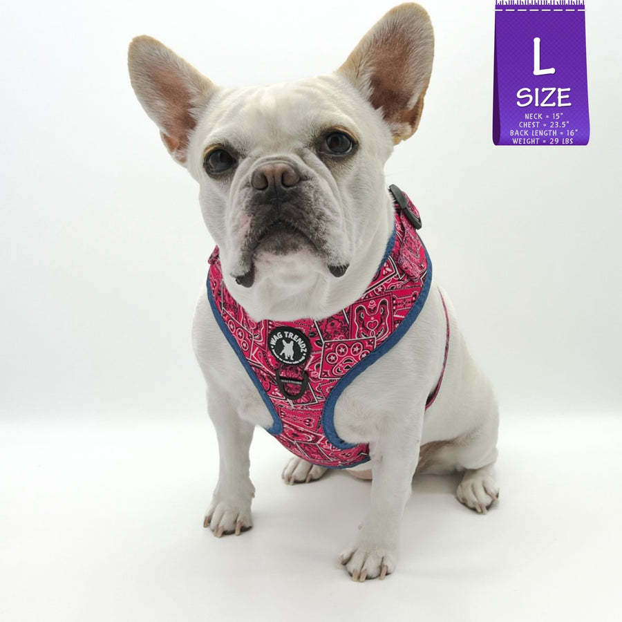 Dog Harness and Leash Set - French Bulldog wearing Bandana Boujee Dog Harness in Hot Pink with Denim Accents - against solid white background - Wag Trendz