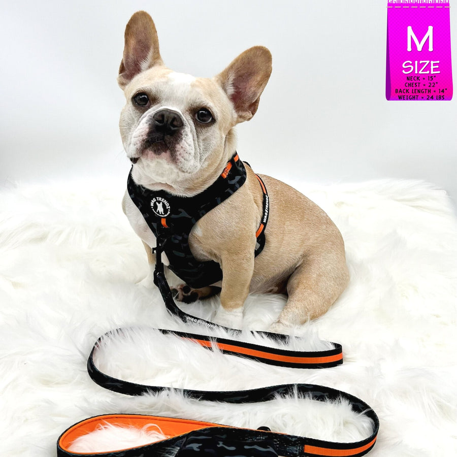 Dog Harness and Leash Set - French Bulldog wearing Black & Gray camo dog harness with Orange Accents and Matching Dog Leash attached - against solid white background - Wag Trendz