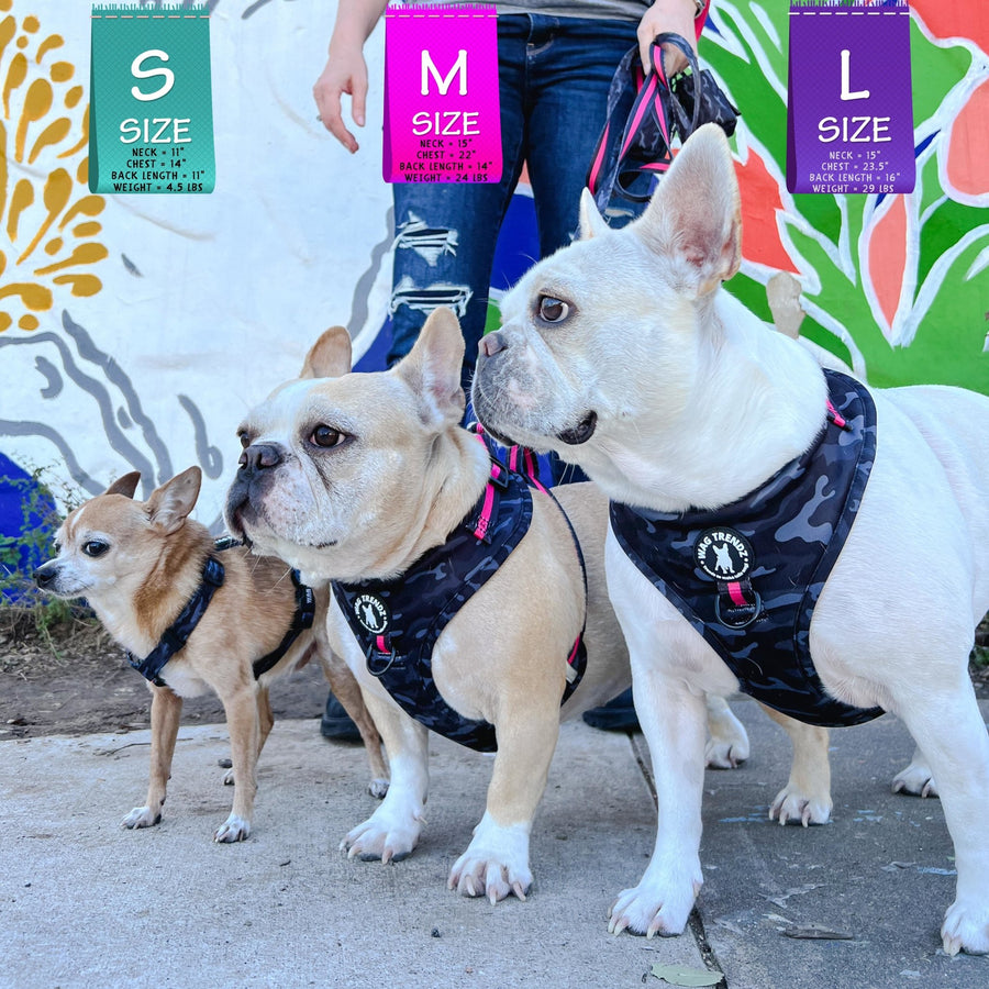 Dog Harness and Leash Set - three dogs, two Frenchies and a Chihuahua wearing black & gray camo dog harness with Pink Accents and Matching Dog Leash -  standing outdoors in front of a colorful graffiti wall on a sunny day - Wag Trendz