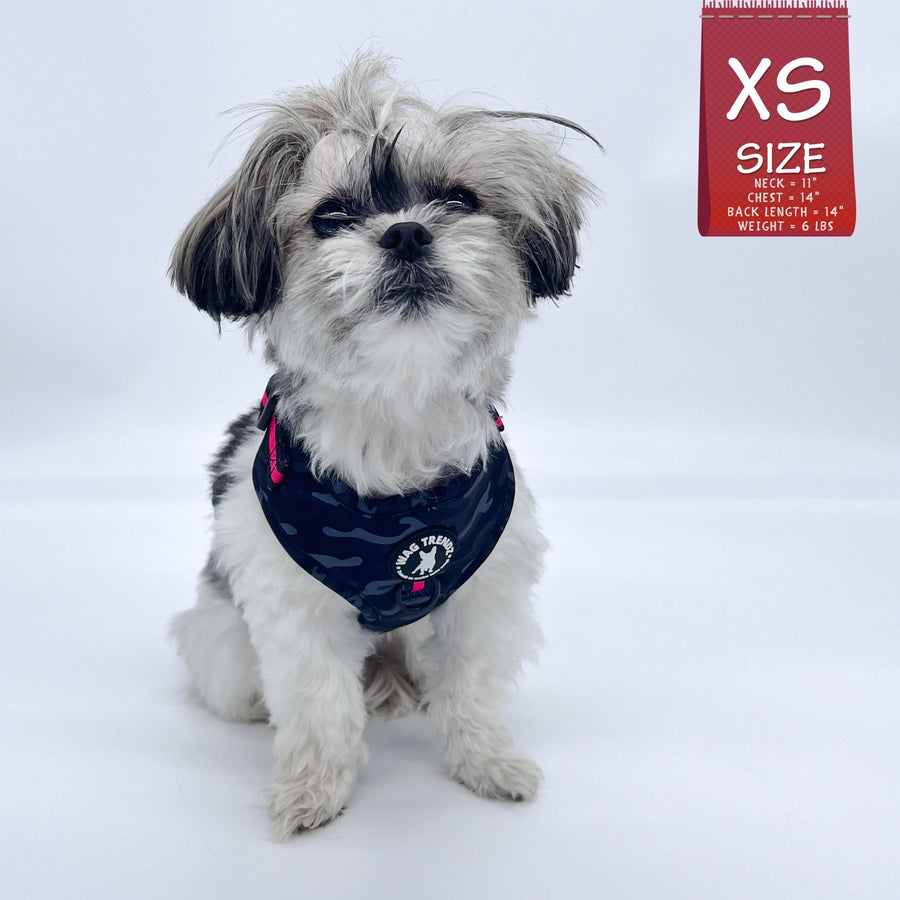 Dog Harness and Leash Set - Shih Tzu wearing black & gray camo dog harness with Pink Accents - against solid white background - Wag Trendz