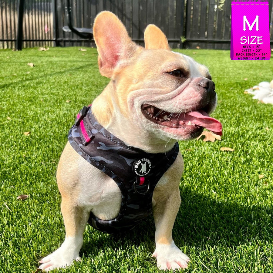 Dog Harness and Leash Set - French Bulldog wearing black & gray camo dog harness with Pink Accents and Matching Dog Leash and poop bag holder attached - outdoors sitting and panting in the grass - Wag Trendz