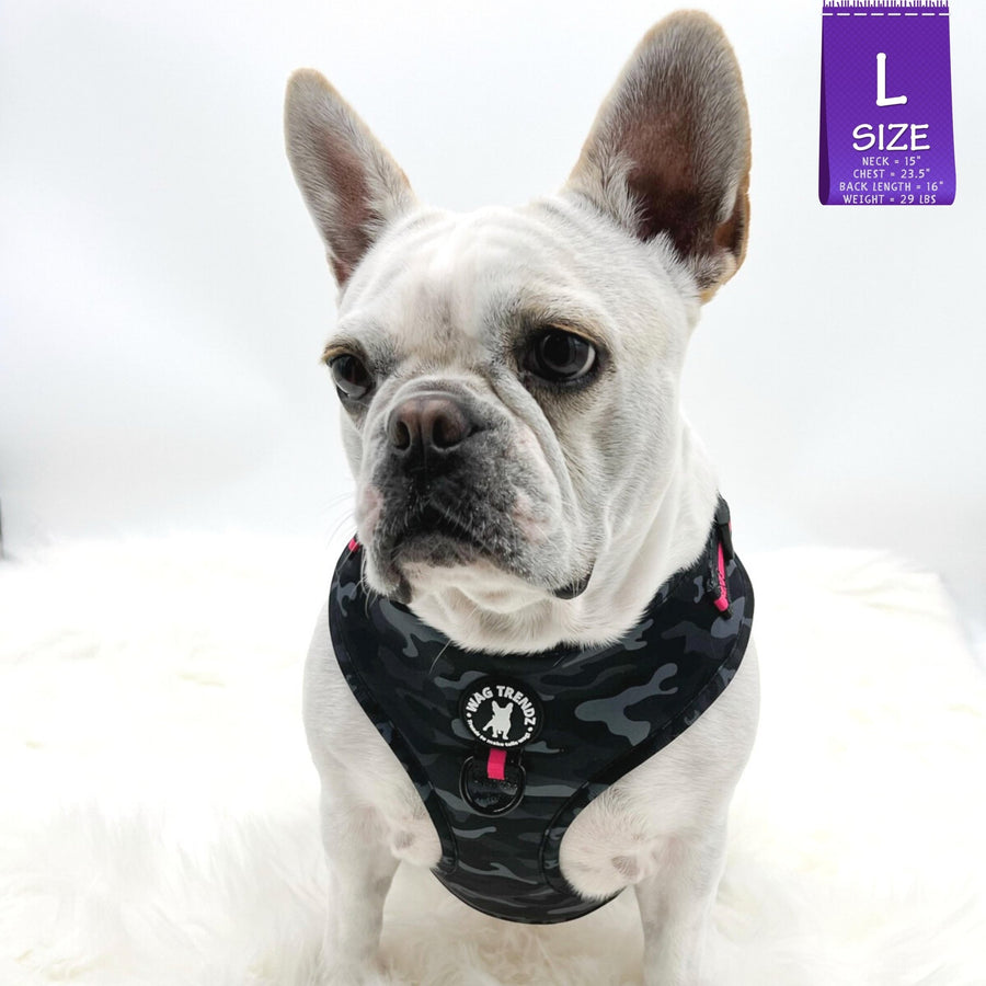 Dog Harness and Leash Set - French Bulldog wearing black & gray camo dog harness with Pink Accents - against solid white background - Wag Trendz