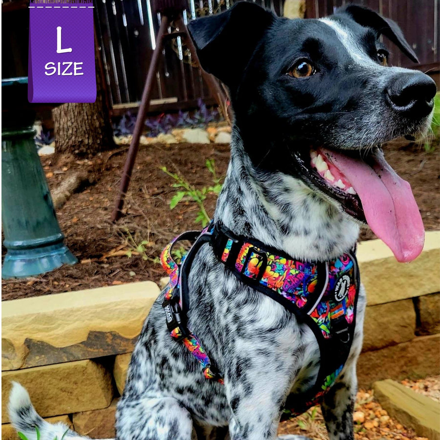Dog Harness and Leash Set - No Pull - Handle - cattle dog mix wearing multi colored Street Graffiti dog harness - chestside view - sitting outdoors panting - Wag Trendz