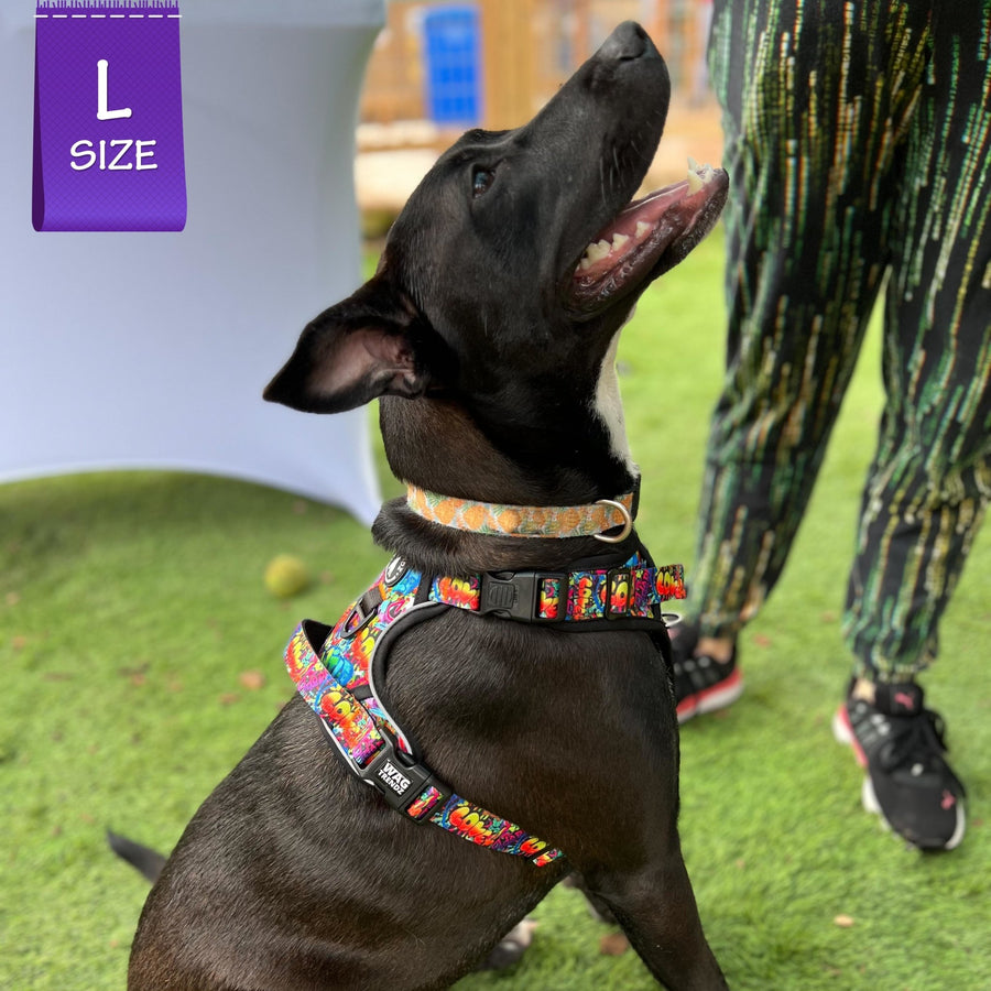 Dog Harness and Leash Set - No Pull - Handle - mix breed black dog wearing multi colored Street Graffiti dog harness - backside view - sitting outdoors in the green grass - Wag Trendz