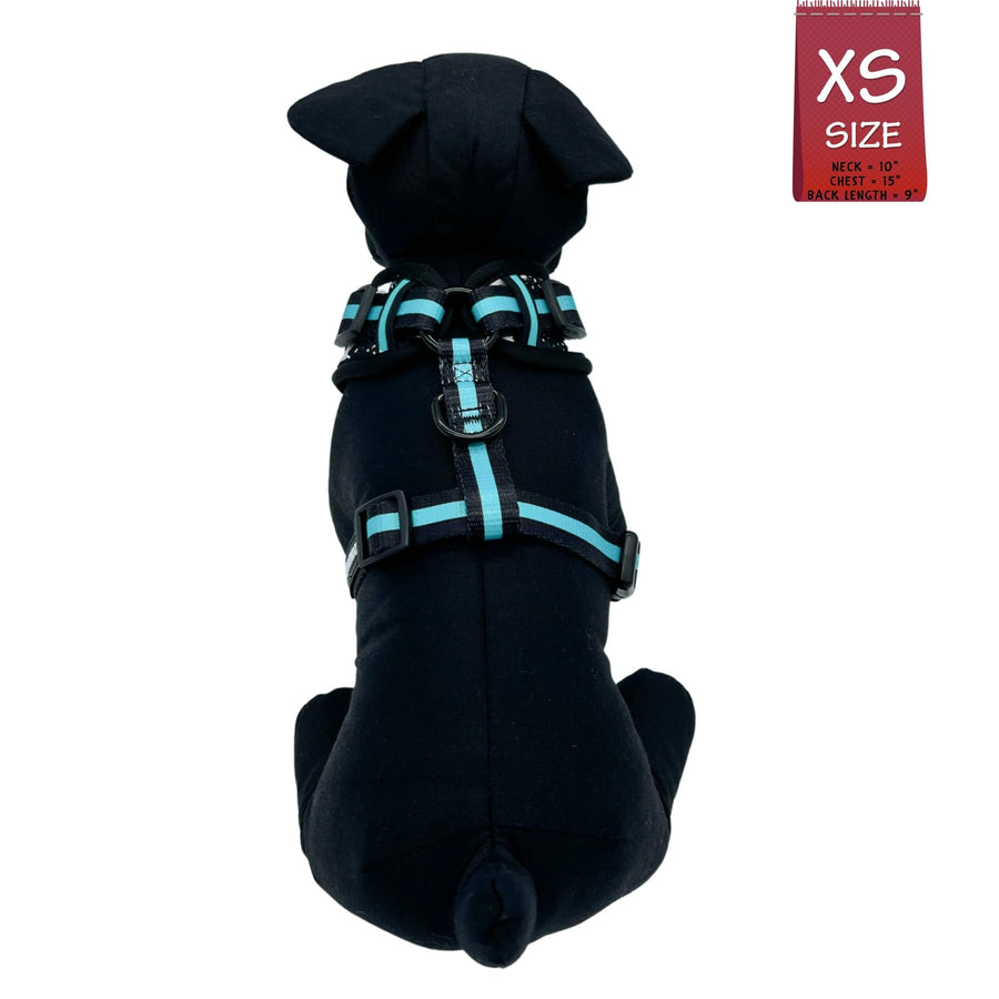 Dog Harness and Leash Set - Black stuffed dog wearing black harness vest in white paint splatter with teal accents in size x small - back view - against solid white background - Wag Trendz
