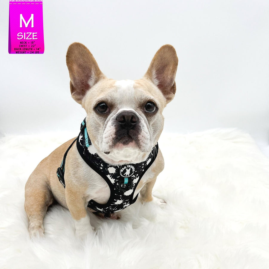Dog Harness and Leash Set - French Bulldog wearing black harness vest in white paint splatter with teal accents in size medium - against solid white background - Wag Trendz