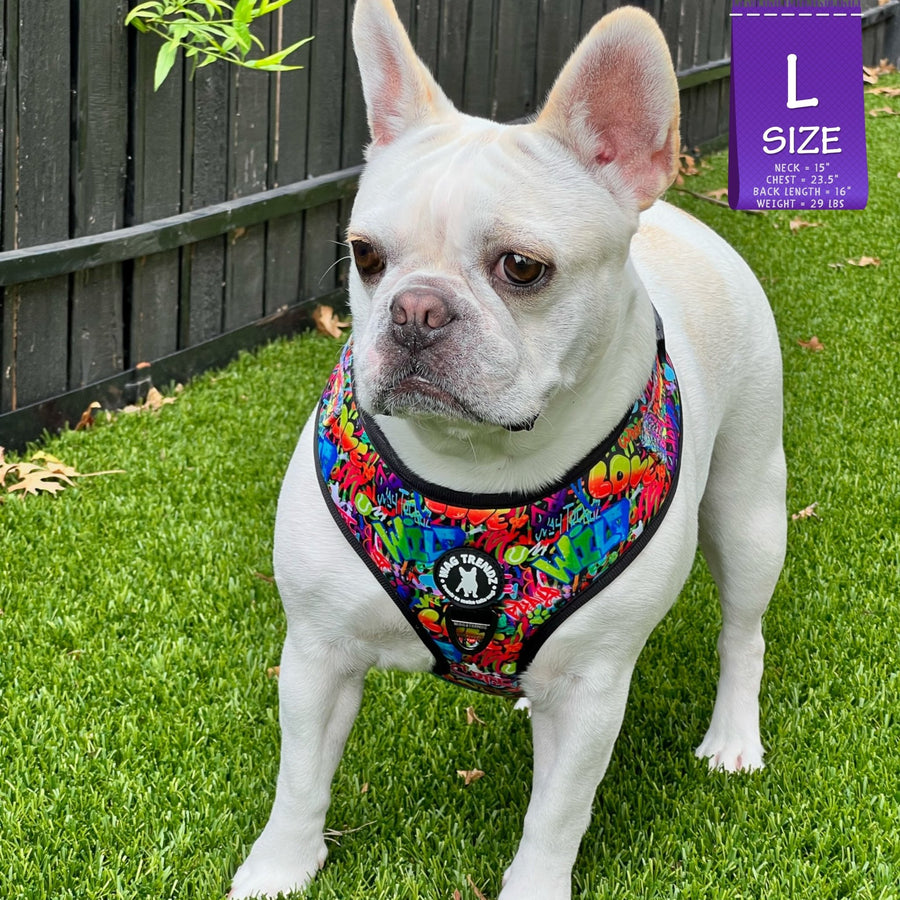 Dog Harness and Leash Set - French Bulldog wearing Large Dog Harness Vest in multi-colored Street Graffiti - standing outdoors in the grass - Wag Trendz