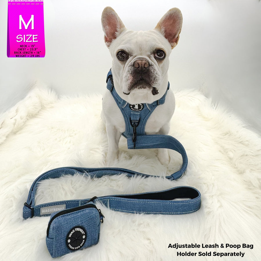 Dog Harness With Handle - No Pull - French Bulldog wearing a Medium Downtown Denim Dog Harness with Handle with a matching leash and poop bag holder attached - against solid white background - Wag Trendz