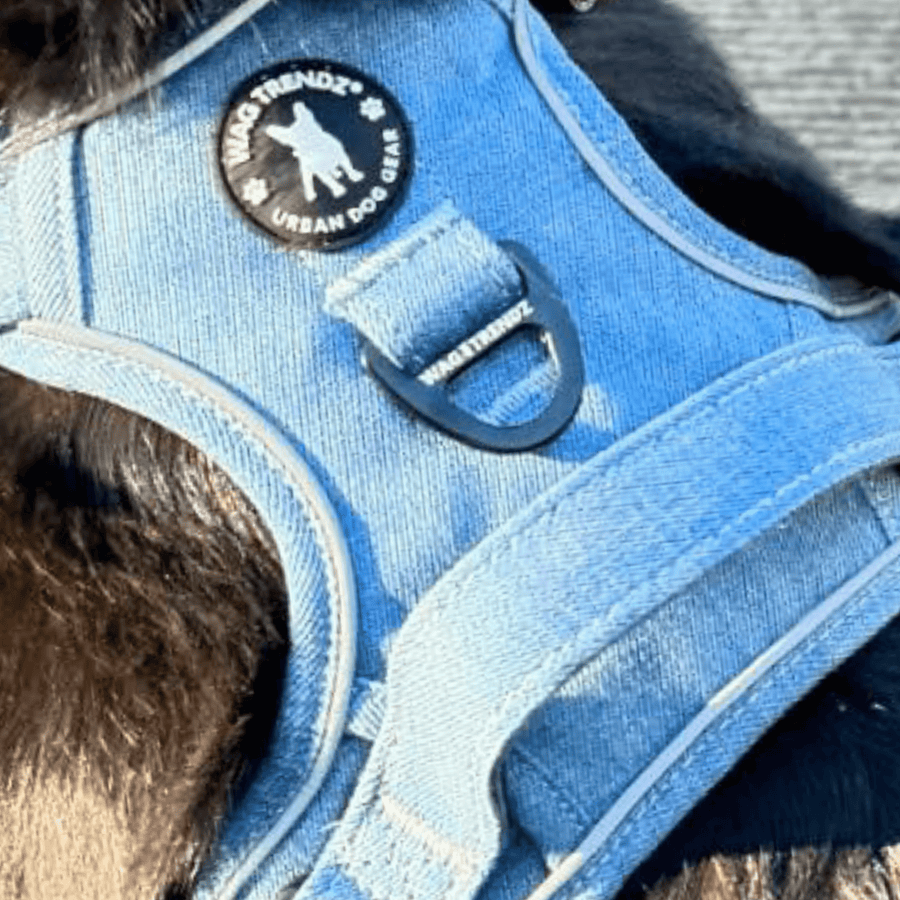 Dog Harness With Handle - No Pull - large size dog wearing a Downtown Denim Dog Harness - close up of back side with handle - Wag Trendz