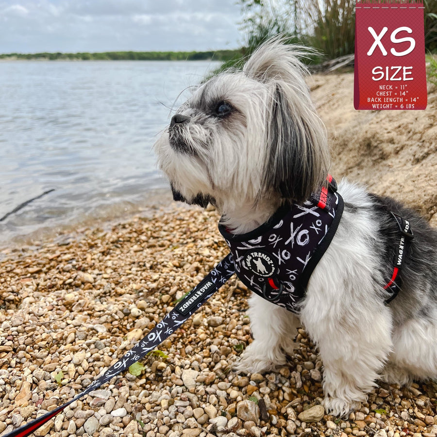 Dog Harness Vests - Adjustable - Front Clip - cute black and white small dog wearing black harness with white XO's and red accents with matching dog leash - outside with a lake in the background - Wag Trendz