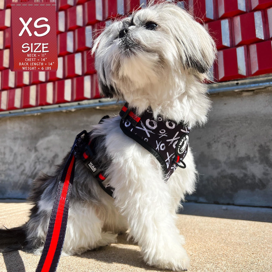 Dog Harness Vests - Adjustable - Front Clip - cute black and white small dog wearing black harness with white XO's and red accents with matching dog leash - outside with red wall and concrete background - Wag Trendz