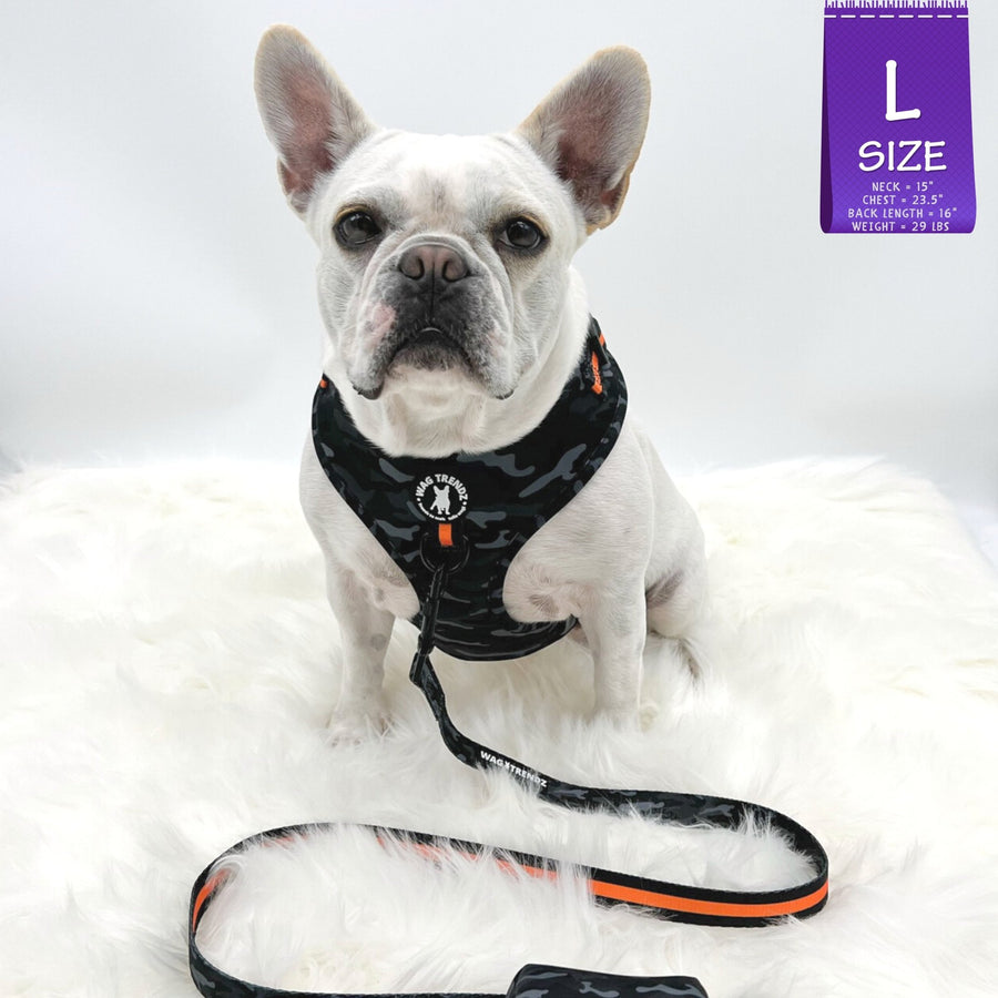 Dog Harness Vest - French Bulldog wearing black and gray camo dog adjustable harness with front clip and orange accents and matching leash attached - against solid white background - Wag Trendz