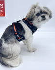 Dog Harness Vest - Shih Tzu mix wearing black and gray camo dog adjustable harness with orange accents - against solid white background - Wag Trendz