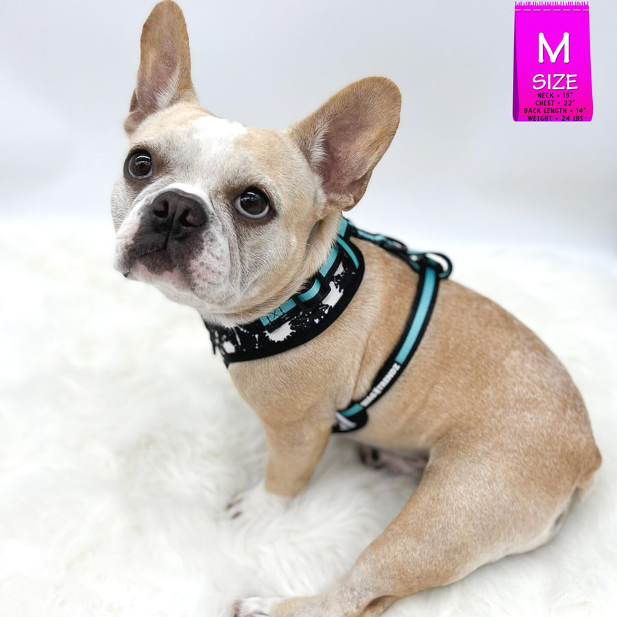 Dog Harness Vest - No Pull - French Bulldog wearing black adjustable harness with white paint splatter and teal accents - against a solid white background -  Wag Trendz
