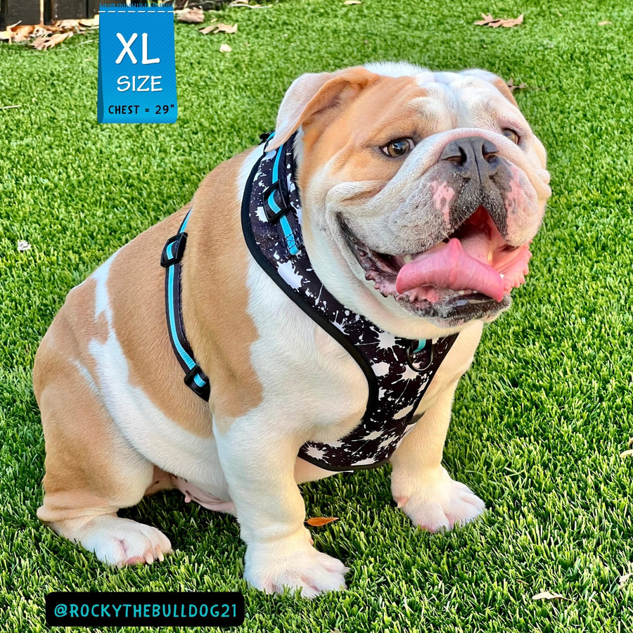Dog Harness Vest - No Pull - English Bulldog wearing black adjustable harness with white paint splatter and teal accents - front clip for no pull training - sitting outdoors in the grass - Wag Trendz