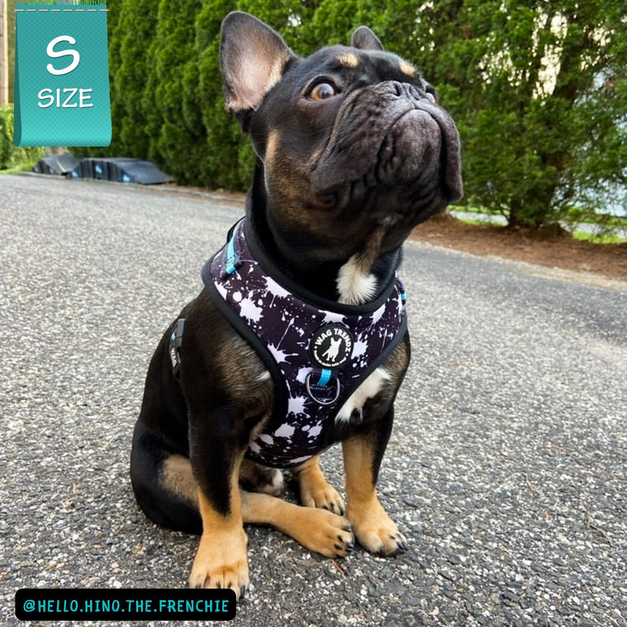 Dog Harness Vest - No Pull - Frenchie wearing black adjustable harness with white paint splatter and teal accents - front clip for no pull training - sitting outdoors on asphalt - Wag Trendz