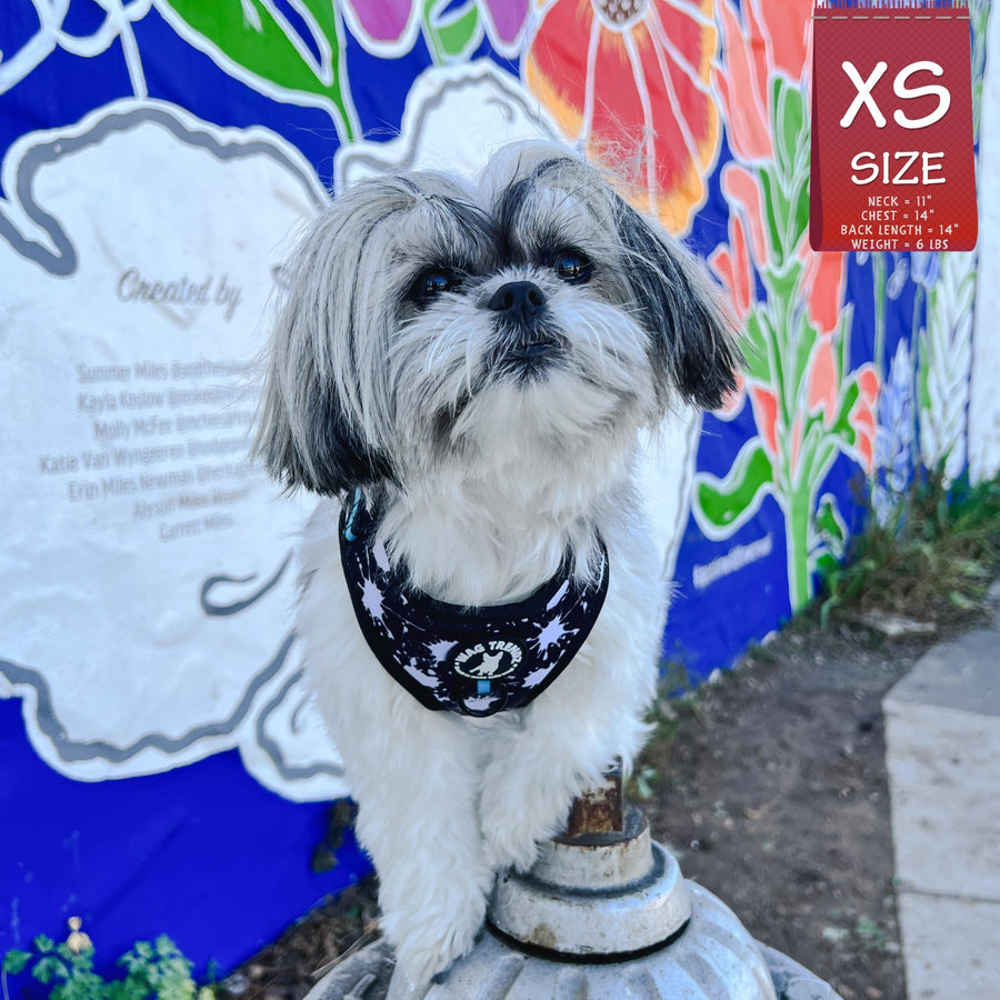 Dog Harness Vest - No Pull - Shih Tzu mix wearing black adjustable harness with white paint splatter and teal accents - front clip for no pull training - standing outdoors with graffiti wall in background - Wag Trendz
