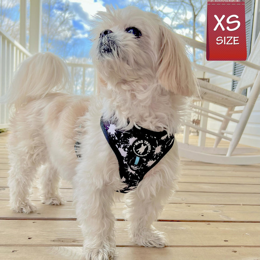 Dog Harness Vest - No Pull - Shih Tzu wearing black adjustable harness with white paint splatter and teal accents - front clip for no pull training - standing outdoors on a wood deck - Wag Trendz